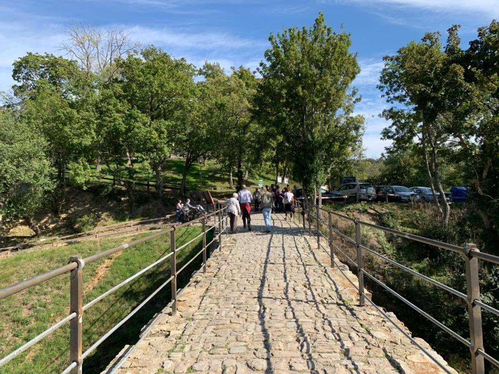 Hotel Garni Zum Rebstock Naumburg  Dış mekan fotoğraf