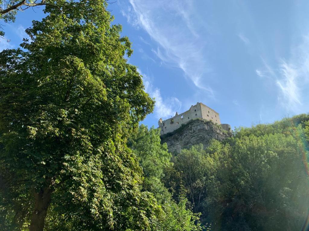 Hotel Garni Zum Rebstock Naumburg  Dış mekan fotoğraf