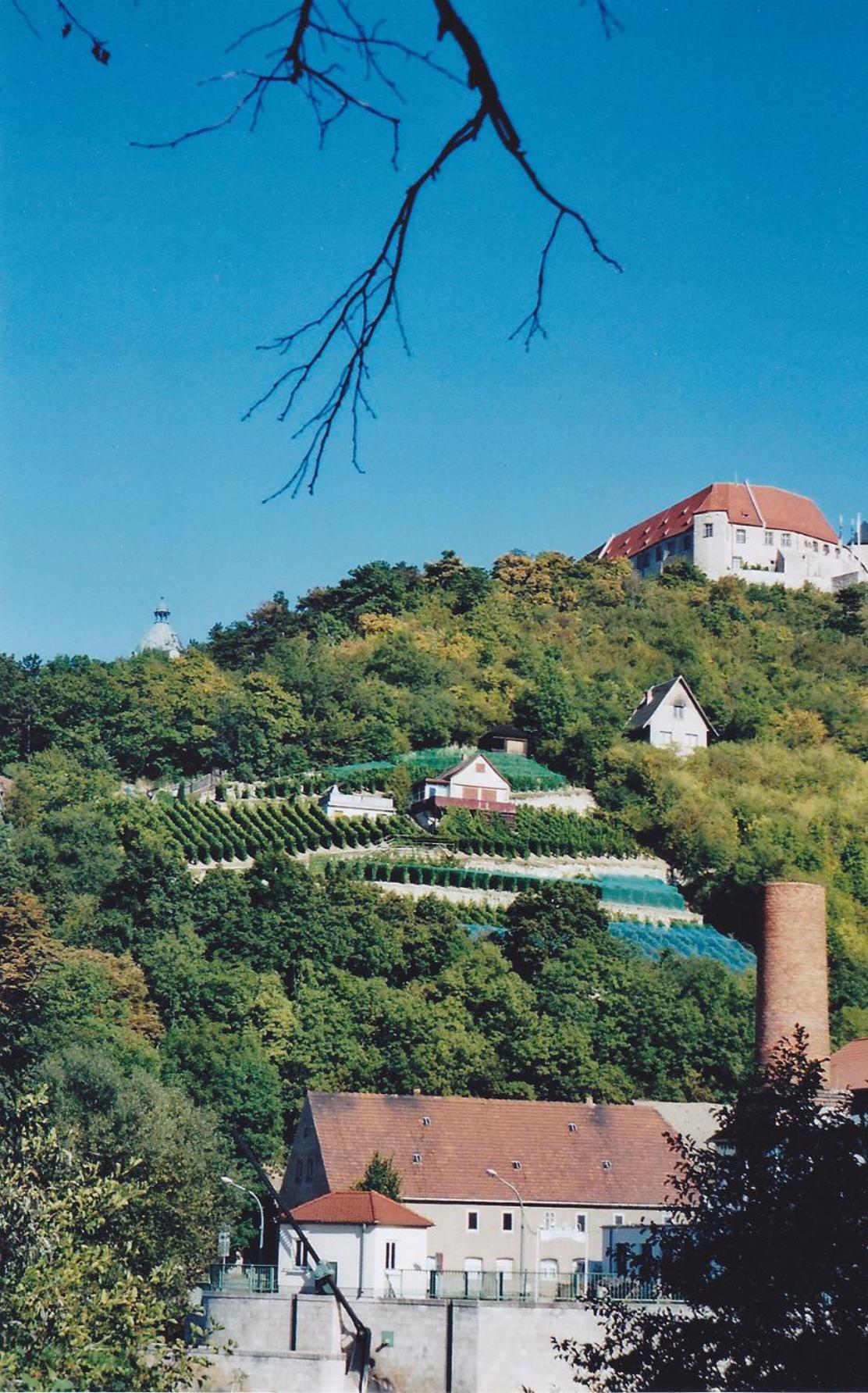 Hotel Garni Zum Rebstock Naumburg  Dış mekan fotoğraf