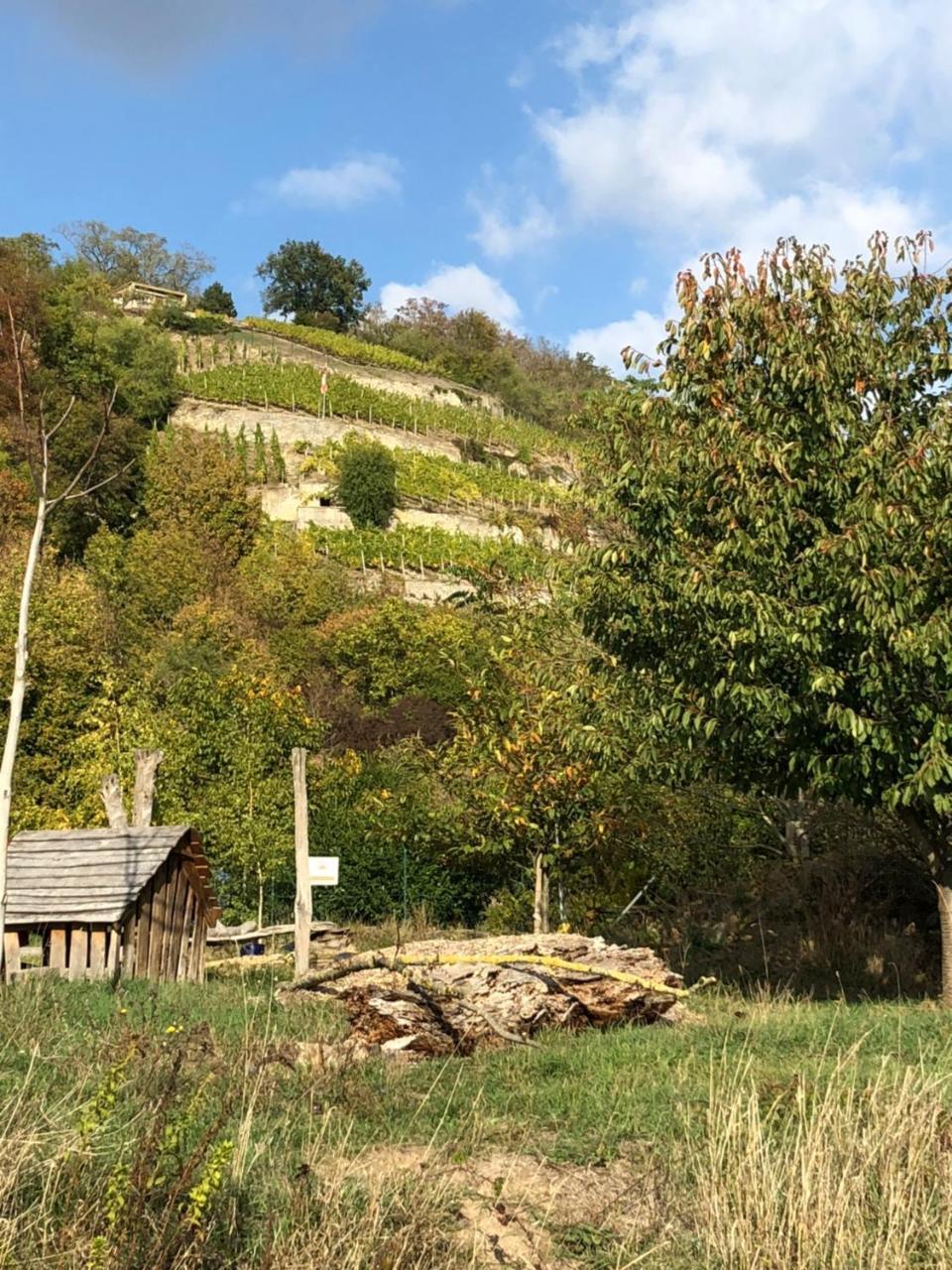 Hotel Garni Zum Rebstock Naumburg  Dış mekan fotoğraf